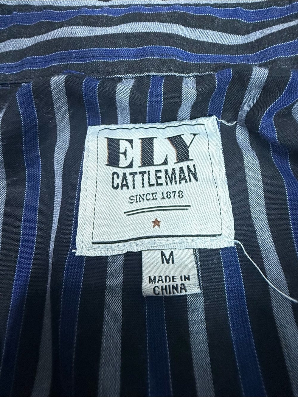 Ely Cattleman Vertical Stripe Button-Up - Blue & Black